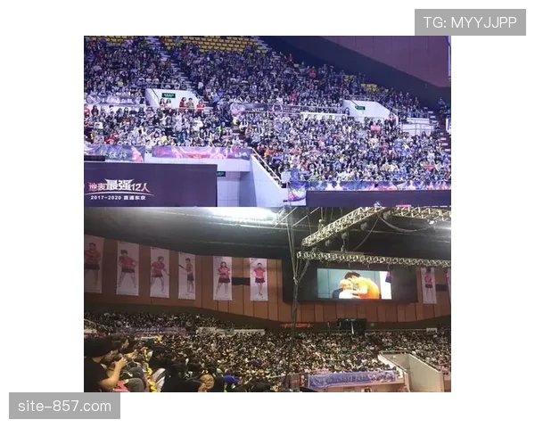 粉丝经济模式成功移植 体育明星带动目的地旅游