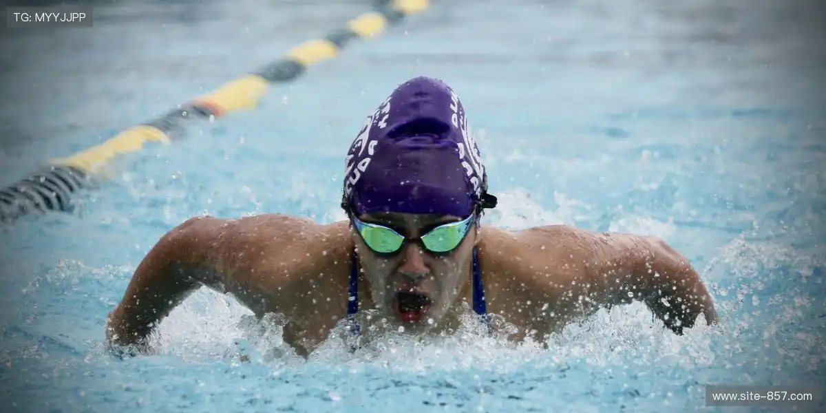 赛事窗口安排更加合理